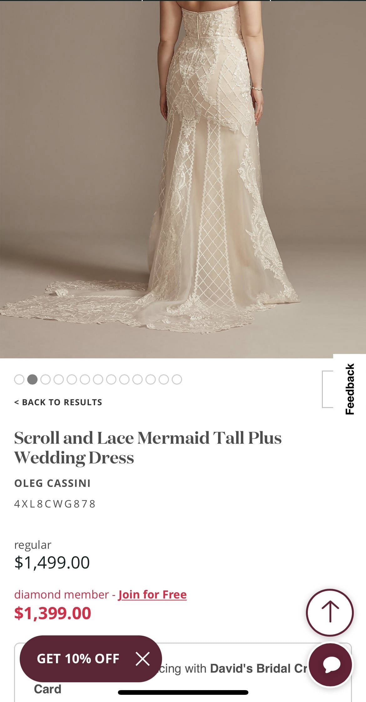 Wedding Dress and Beaded Sleeves